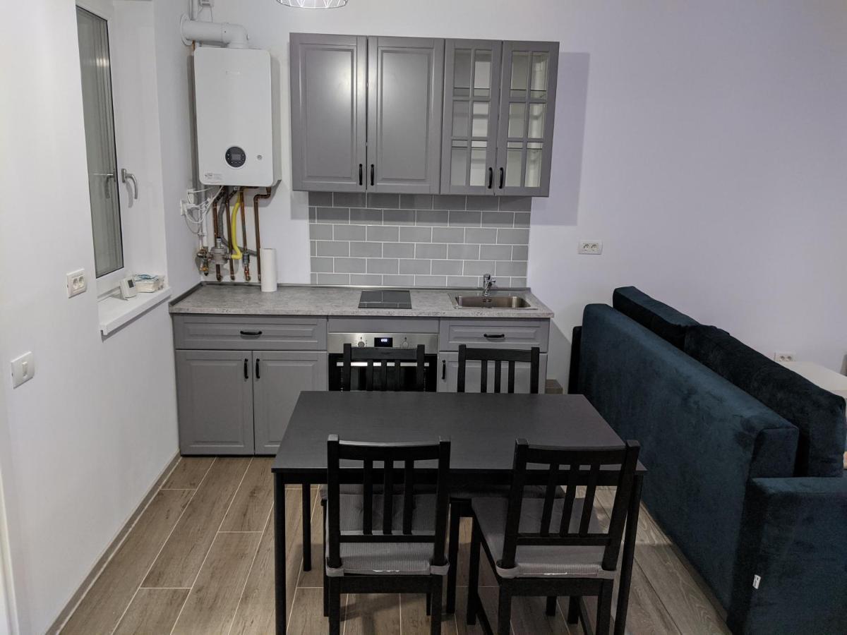 Alina'S Deluxe Apartment And Free Private Parking Dumbravita  Exteriér fotografie